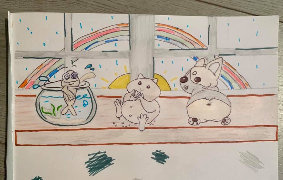 WillowsCats's tweet photo. #RainbowsForNightingale #WillowsPetPawtraits https://t.co/PZ1pVUfuW4