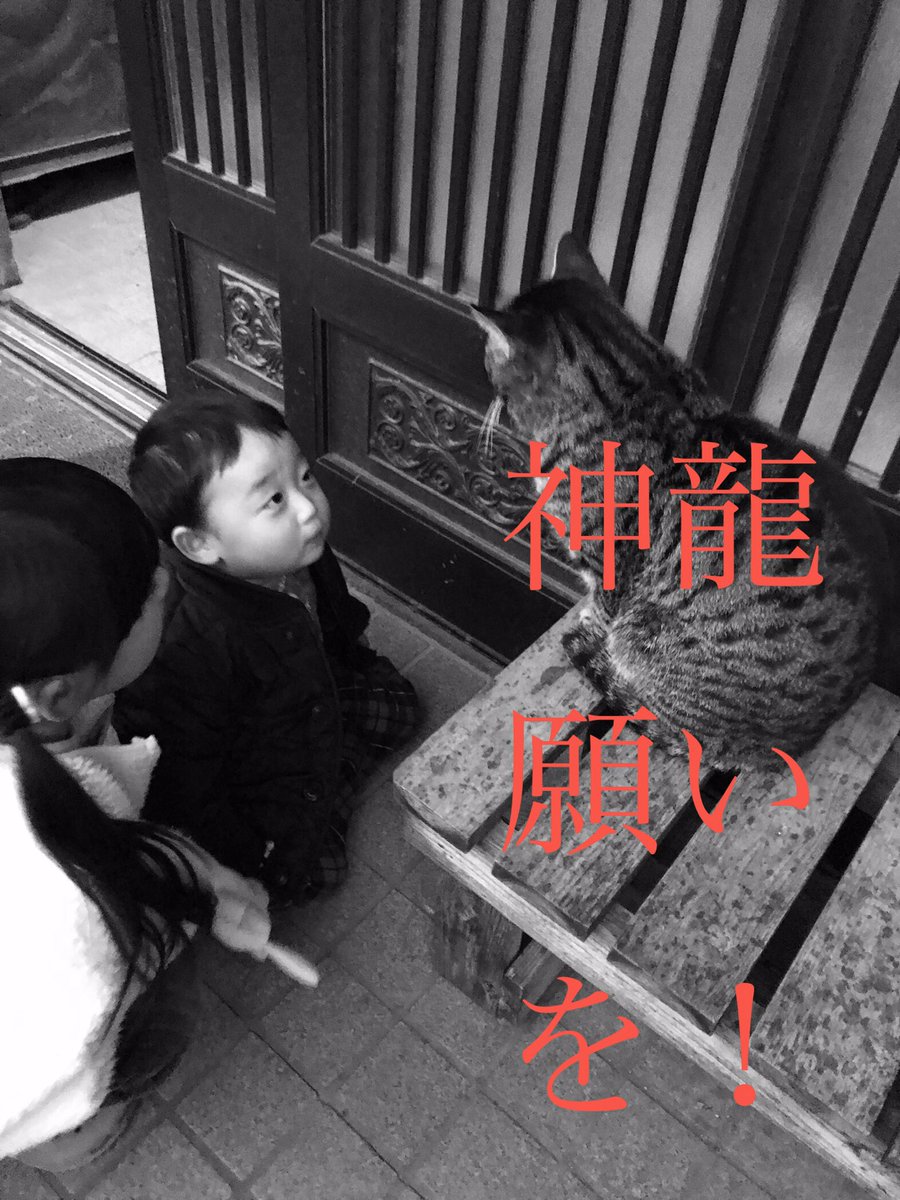 pic_saiko's tweet photo. 神龍
願いを！！

＃pic11 https://t.co/vUxpv6pftB