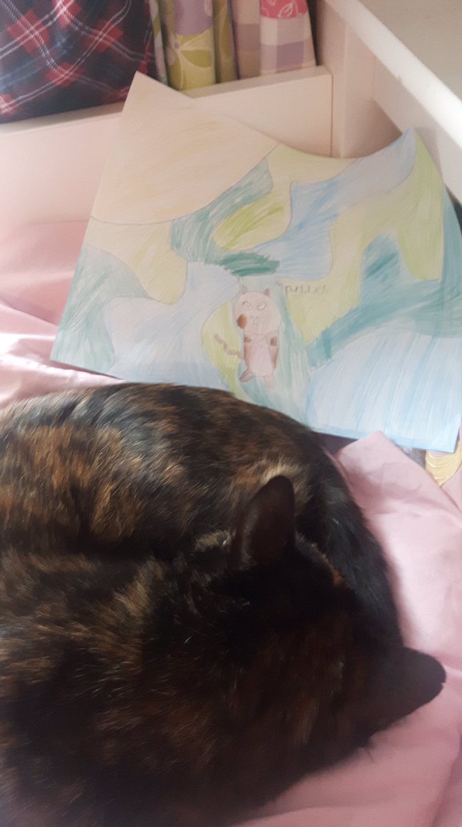 WillowsCats's tweet photo. #RainbowsForNightingale #WillowsPetPawtraits https://t.co/aP716PjH6P