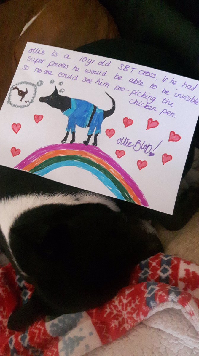 #RainbowsForNightingale #WillowsPetPawtraits
