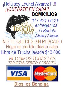 sw_vida's tweet image. 