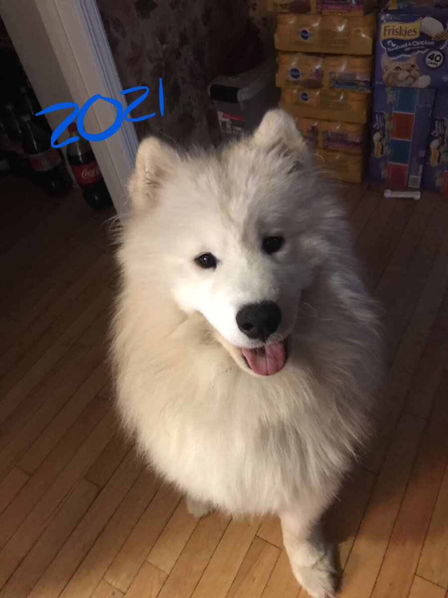 eccrsd2021's tweet photo. @ERHS_PRIDE Melody appreciates her dog. “This is Charlie and today is his first birthday!!! He’s the best dog you could ask for. He’s always there when you need him and his smile can brighten anyone’s day!” https://t.co/1y6yHW4u8l