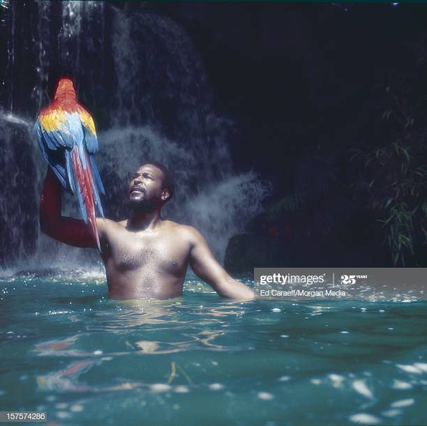 AKASteffon's tweet photo. Damn, been so caught up in this Corona shit, didn’t even realize today was #MarvinGayeDay!! Happy Birthday to the ebony prince, Marvin Pentz Gaye.
(We don’t recognize him as a Jr to that murderous fucked up ass pappy of his) https://t.co/FU6hS4N229