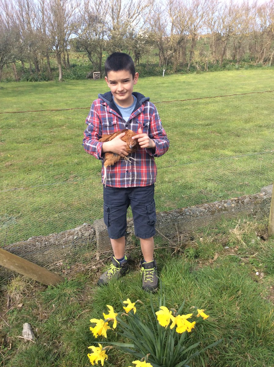 ECJS_6B's tweet image. 🏠HOME LEARNING🐣

I love hearing what @ECJS_6B have been learning at home. Say hello to Sam and Rusty the chicken! Arriving at midnight, Sam incubated and hatched six chickens and now looks after them everyday! Lots of other activities and school work going on! Well done Sam!