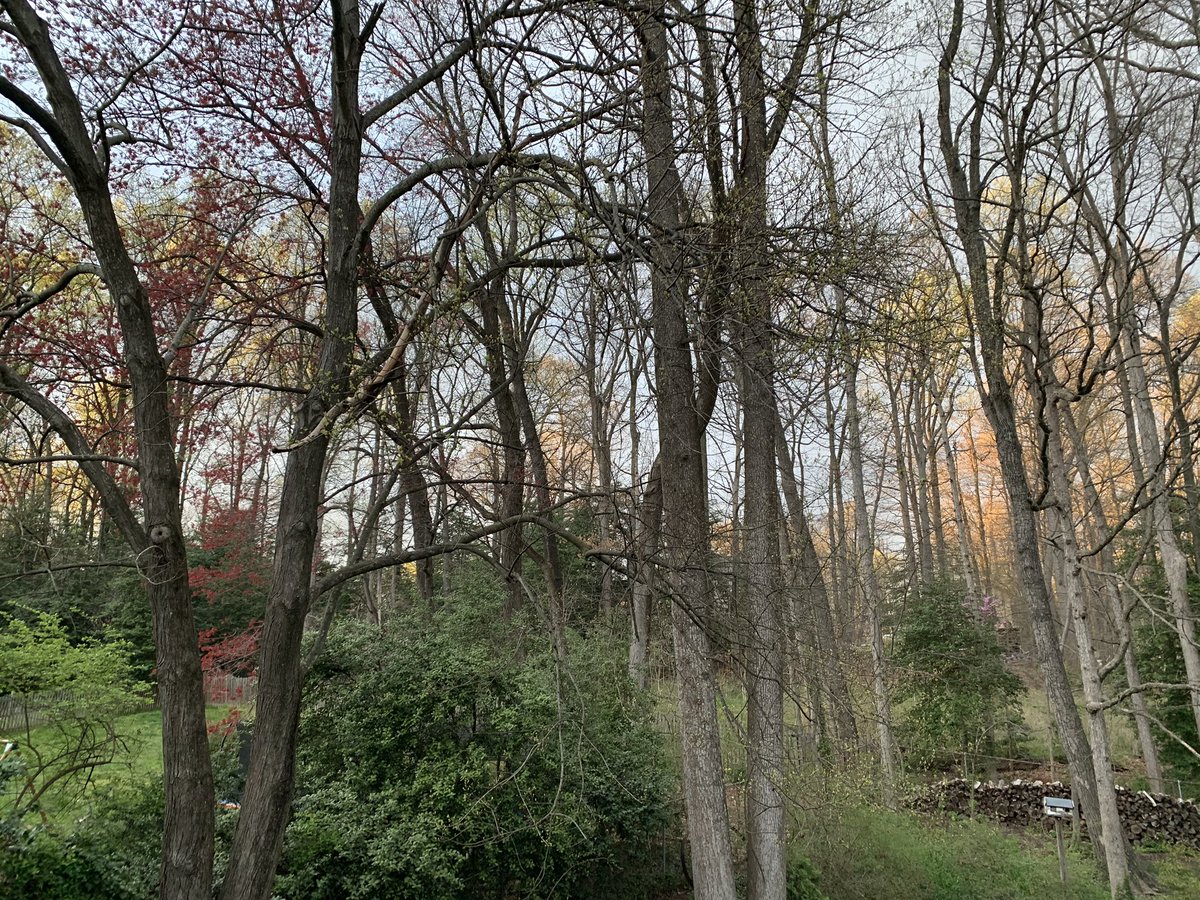 AbbeyFMiller's tweet image. Hi everyone! I’m Abbey Miller, also a Learning Innovations Specialist from Fairfax County. Excited to be here &amp;amp; learn from others in tonight’s #valinchat!