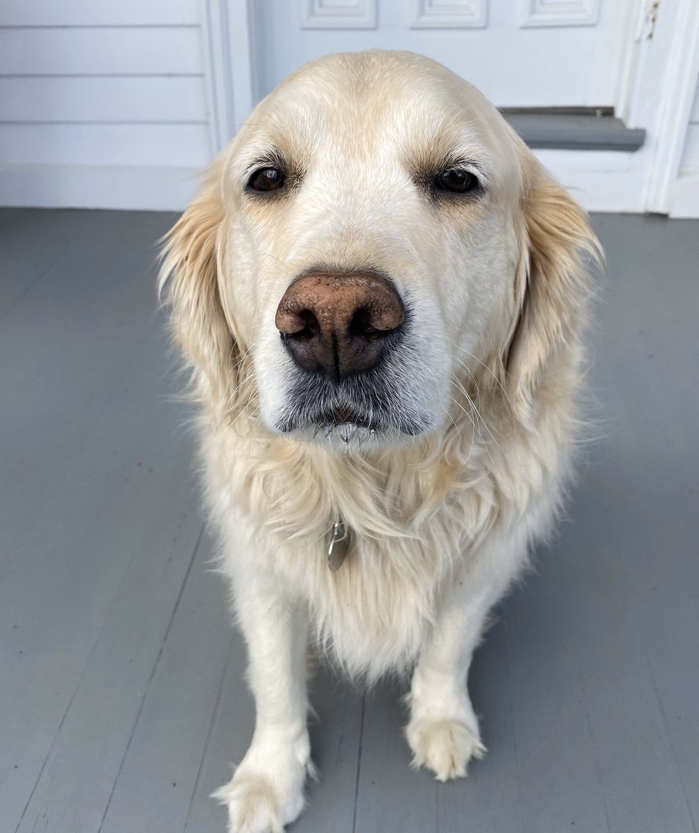 Jimmy Fallon Auf Twitter I Always Wondered What Gary S Voice Would Sound Like Any Guesses Whoisgary Fallonathome