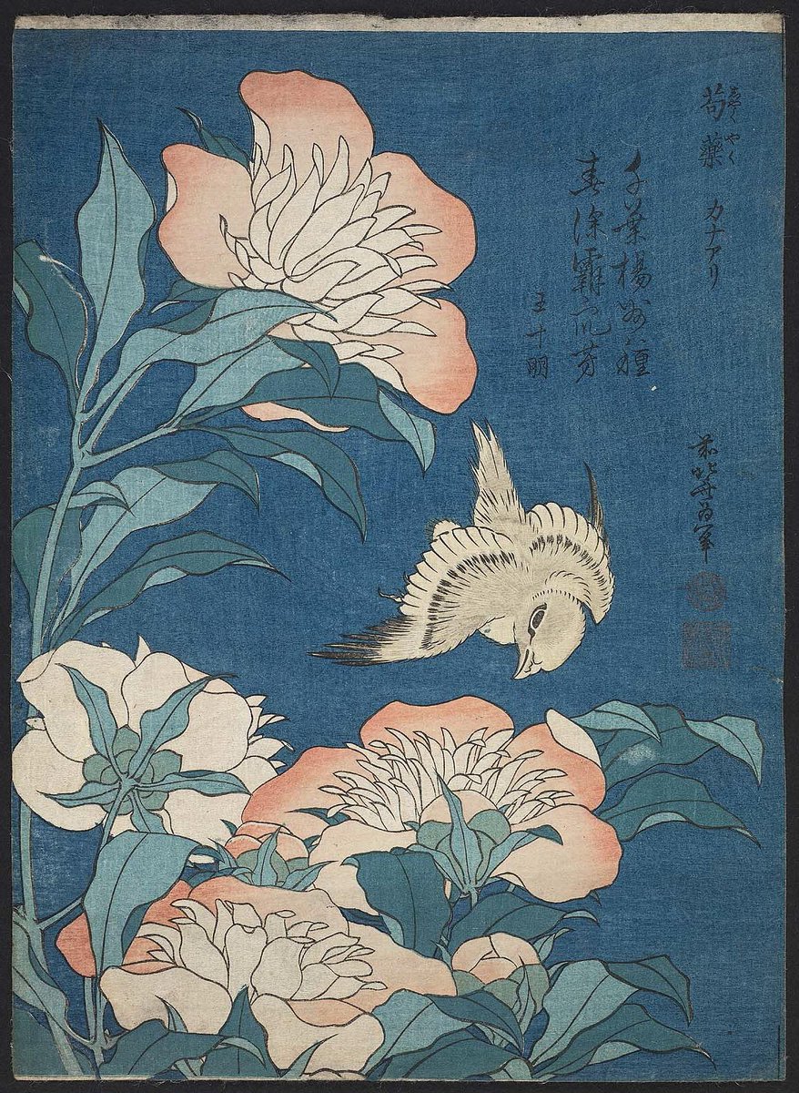 Katsushika Hokusai, Canary and Peony, from an untitled series known as Small Flowers, ca. 1834 Woodblock print (nishiki-e); ink and color on paper