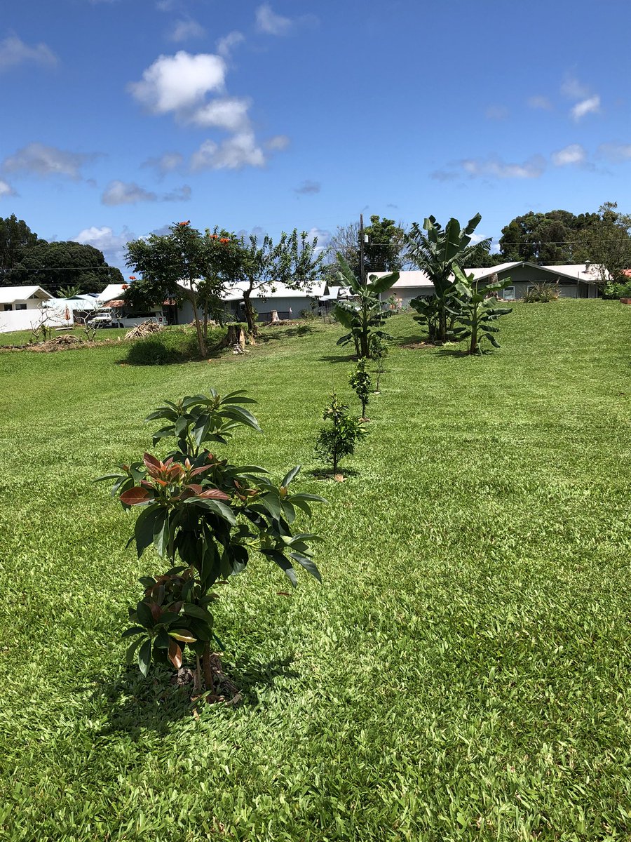 HawaiianMainer's tweet image. Just a beautiful day on The big Island...  lots of our plants are exploding!  You can see the ocean in the distance ...get out in the fresh air but #staysixfeetapart #justdoit #ocean #Beautiful