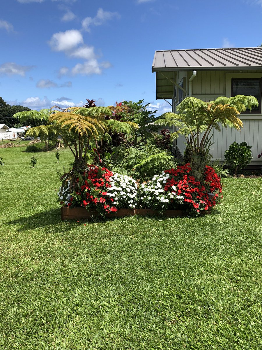 HawaiianMainer's tweet image. Just a beautiful day on The big Island...  lots of our plants are exploding!  You can see the ocean in the distance ...get out in the fresh air but #staysixfeetapart #justdoit #ocean #Beautiful