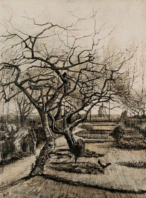 Vincent van Gogh, Winter Garden in Neunen, Pen and Ink, 1884