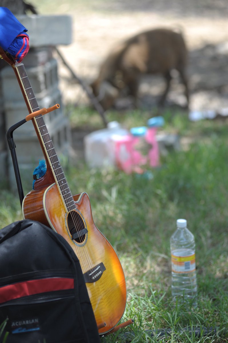 huicholmusical's tweet photo. “ Algunos días no habrá una canción en tu corazón. Canta de todos modos “

#HuicholMusical #LatinPowerMusic #SBPlayer #stayhome #quedateencasa #huichol #huicholes #wixarika https://t.co/xjpkRtcQlR