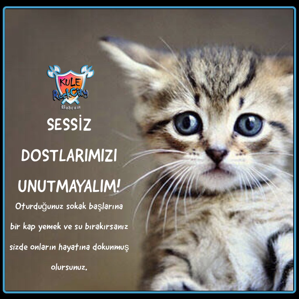 Dostlarımızı unutmayalım!
