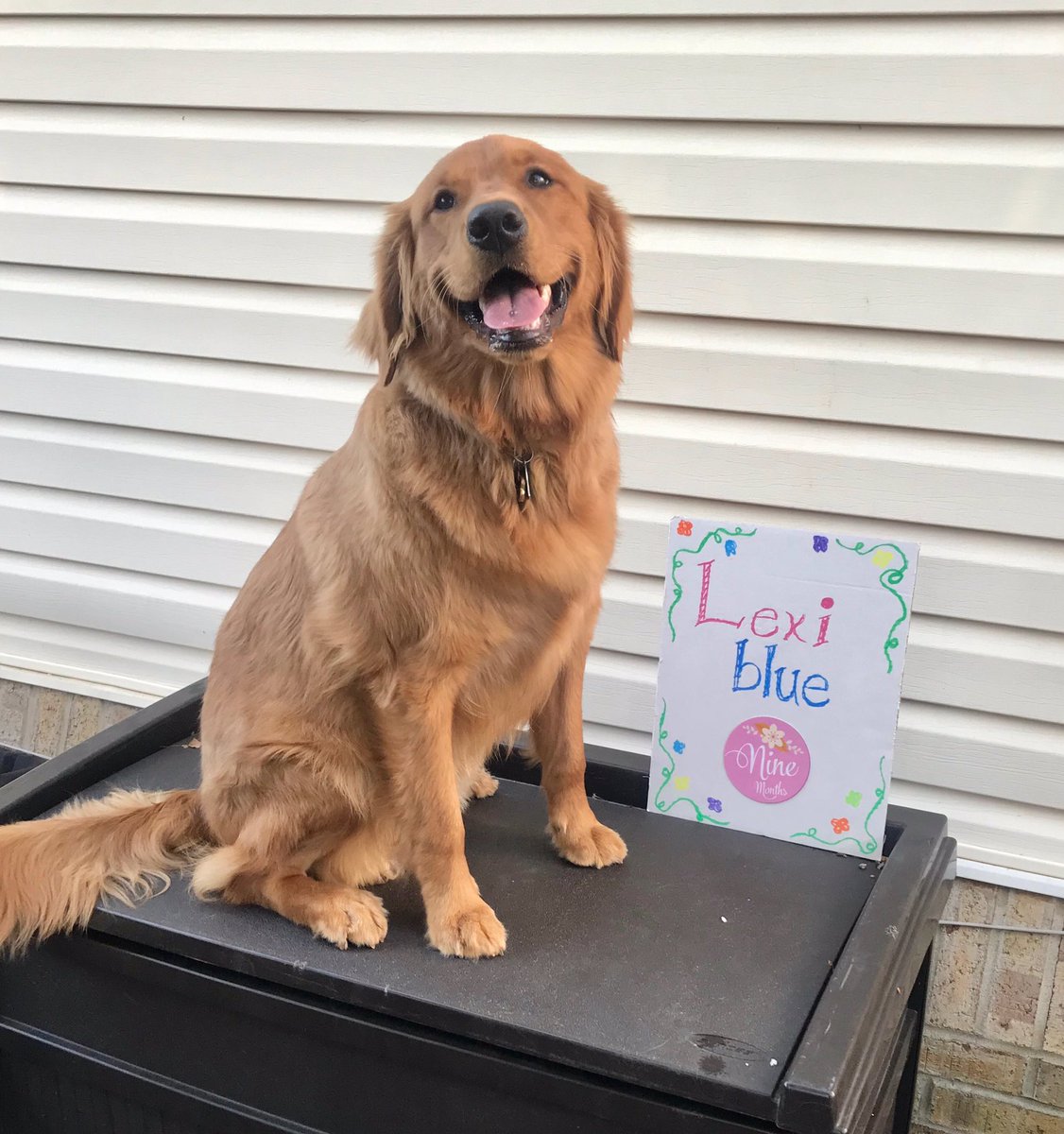 LexiBlue16's tweet photo. Guess who is 9 months old today!! https://t.co/qrZNBA16E7