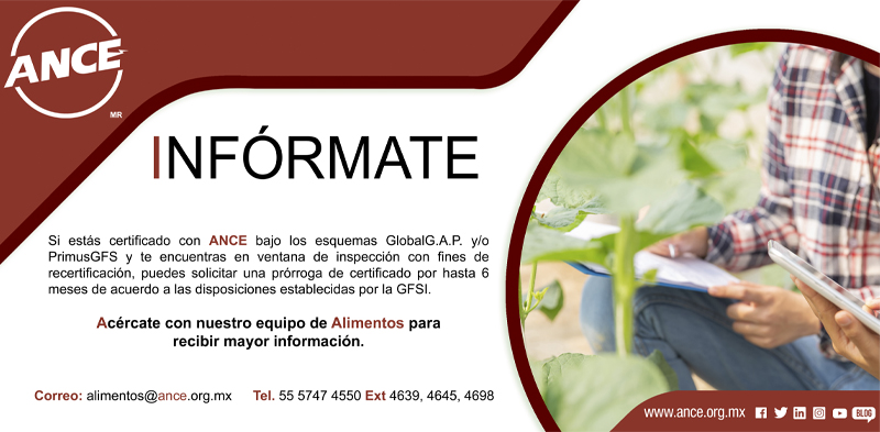 ANCE_MX's tweet photo. Si estas certificado con ANCE bajo los esquemas #GlobalG.A.P. y/o #PrimusGFS esto te interesa.
Acércate con nuestro equipo de Alimentos para recibir mayor información.
𝐚𝐥𝐢𝐦𝐞𝐧𝐭𝐨𝐬@𝐚𝐧𝐜𝐞.𝐨𝐫𝐠.𝐦𝐱
𝐭𝐞𝐥: 𝟓𝟓 𝟓𝟕𝟒𝟕 𝟒𝟓𝟓𝟎 𝐞𝐱𝐭: 𝟒𝟔𝟒𝟓/𝟒𝟔𝟑𝟗/𝟒𝟔𝟗𝟖 https://t.co/dH14dMkjWV