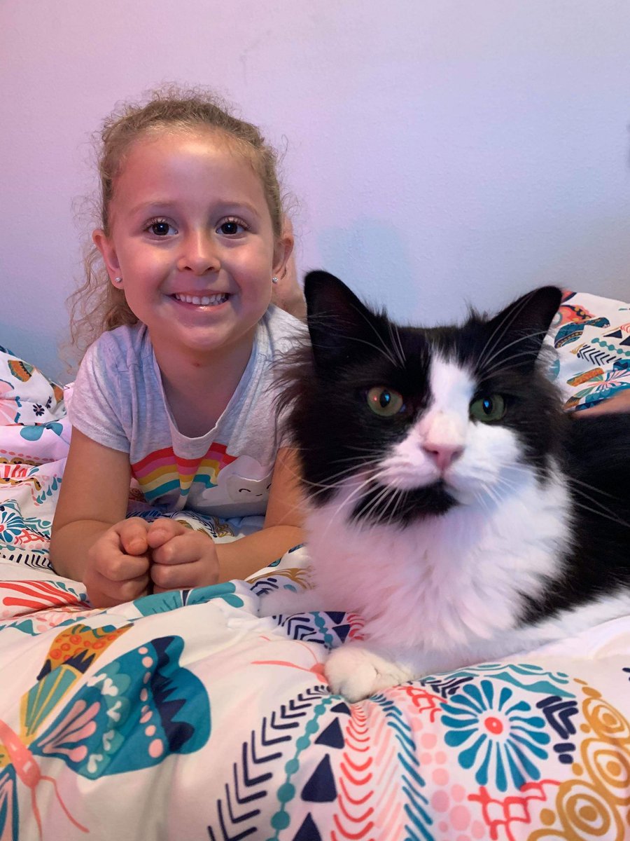 PreKShaffer's tweet photo. In case you need something happy today, here is a sweet girl and her cat celebrating Virtual Spirit Week! #educatinghornets https://t.co/TAxhO4BBm1