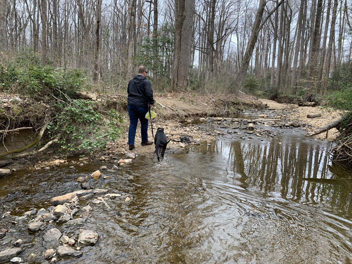 AbbeyFMiller's tweet image. A2 It’s critical (now more than ever) to recognize that is truly doing the best they can right now, to be patient with ourselves &amp;amp; others, and get outside! #valinchat