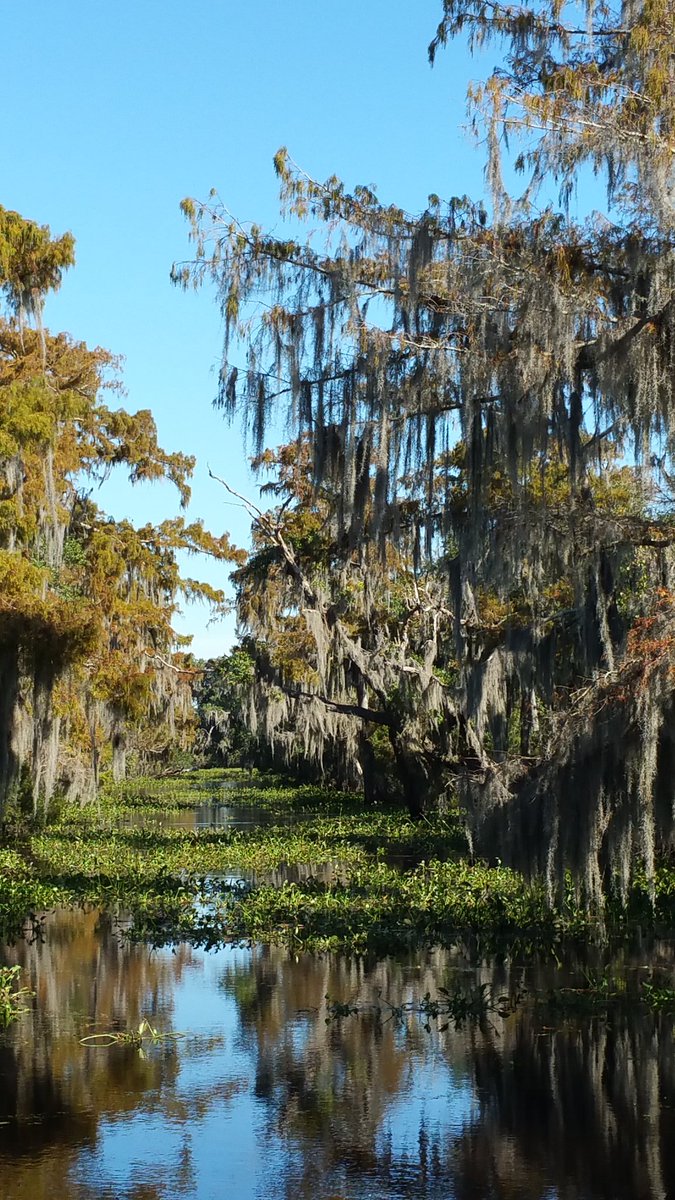 I am challenging everyone to post a photo you've taken from a place you've been. the only thing is that you not appear in it. just a pic, no description. Let’s flood profiles with landscapes to ease this isolation. Copy this, post a photo &amp; let's travel virtually around the world