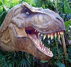 137Films's tweet image. Interesting thoughts by Rick Snedeker, religious skeptic, about #WeBelieveinDinosaurs: patheos.com/blogs/godzooks…