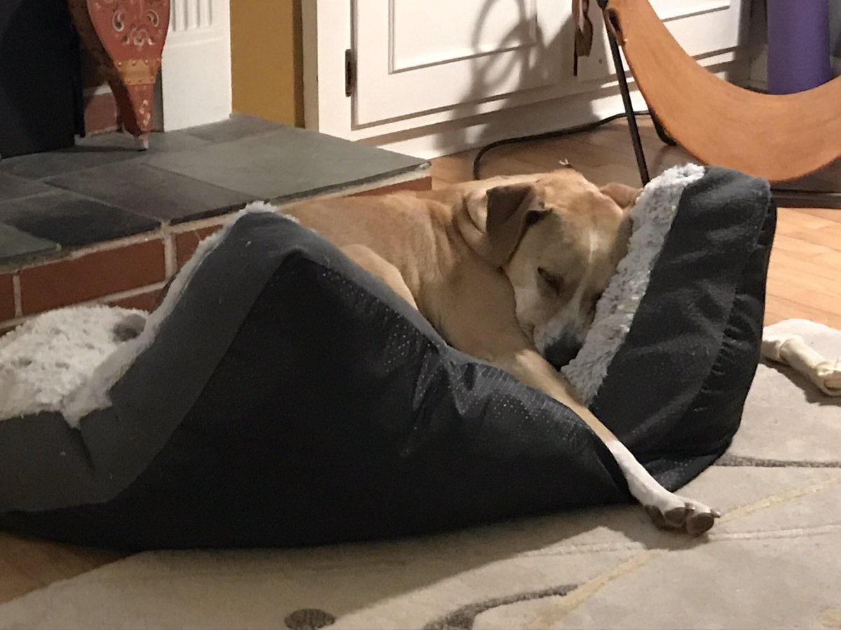 Holly Gustafson tweet media