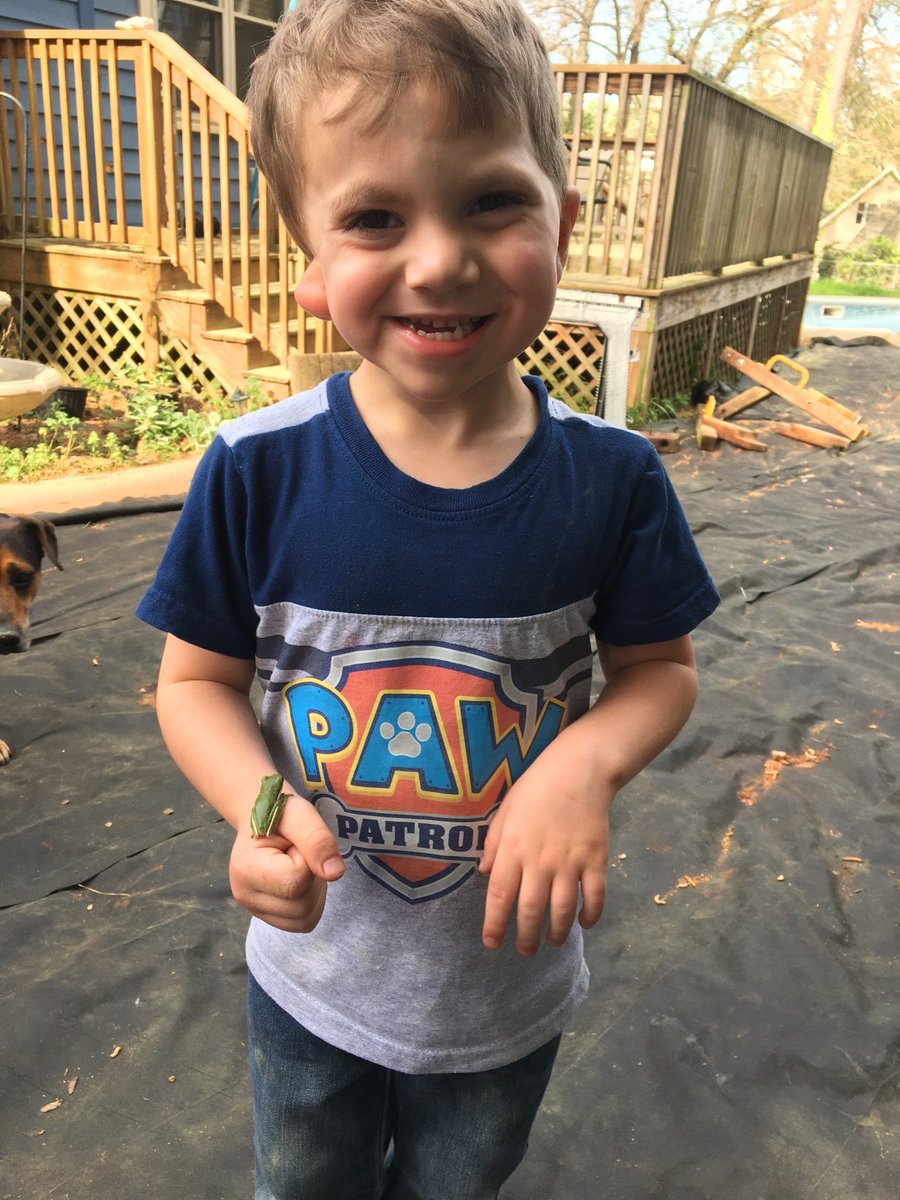 megphillips4k's tweet photo. 4K students are getting out and exploring nature with their 5 senses. #science #distancelearning https://t.co/lj4LPScyLz