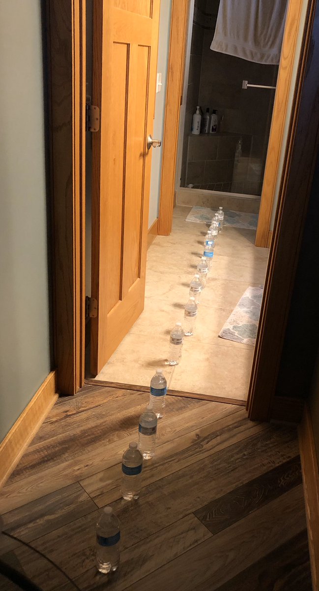 jjsimon24's tweet photo. Just yelled for my mom to come inside because there was “water coming out of the bathroom”. She came running inside. Saw the water and cried laughing so hard telling me how dumb I was. It’s the little things in life! 🤣 https://t.co/PZKhyyDDPo