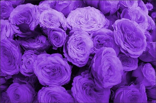 BlessAphrodite's tweet photo. โน ๐๐น๐ฑ๐ป๐ธ๐ญ๐ฒ๐ฝ๐ฎ
ใ๐๐ฆ๐ช๐ฏ๐จ ๐ข๐ โ ๐ช๐ด ๐ด๐ถ๐ค๐ฉ ๐ข ๐ค๐ถ๐ณ๐ด๐ฆ.ใ
โง ๐๐ฐ ๐ฃ๐ฆ ๐ณ๐ฆ๐ค๐ฐ๐จ๐ฏ๐ช๐ป๐ฆ๐ฅ ๐ข๐ด ๐ข ๐ฅ๐ข๐ถ๐จ๐ฉ๐ต๐ฆ๐ณ ๐ฐ๐ง ๐ต๐ฉ๐ฆ ๐ญ๐ฐ๐ท๐ฆ ๐จ๐ฐ๐ฅ๐ฅ๐ฆ๐ด๐ด, ๐บ๐ฐ๐ถ ๐ฉ๐ขve ๐ต๐ฐ ๐ฃ๐ณ๐ฆ๐ข๐ฌ ๐ด๐ฐ๐ฎ๐ฆ๐ฐ๐ฏ๐ฆ'๐ด ๐ฉ๐ฆ๐ข๐ณ๐ต. โง
ใ#LoreOlympusRP #LoreOlympus #LORP ใ https://t.co/V3ySYQ9TGY