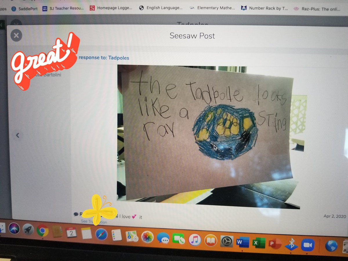 MrsNSawyer's tweet photo. Today my kinders leaned about the Life Cycle of Frogs. They observed 2 tadpoles swimming and then shared their observations using Seesaw.  Over the next few weeks we will watch them grow into 🐸🐸 @SJCheetahs https://t.co/hsLCes1fGr