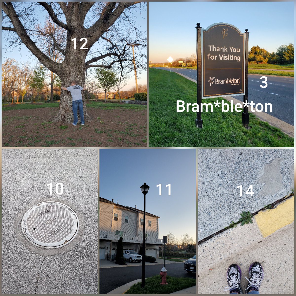 MsChandlerELL's tweet photo. @Abearin2nd @SullyES_LCPS Super windy scavenger hunt today, so we didn't find everything, but it was fun!  Thanks @Abearin2nd 😊 https://t.co/CJ6Gkagnbv