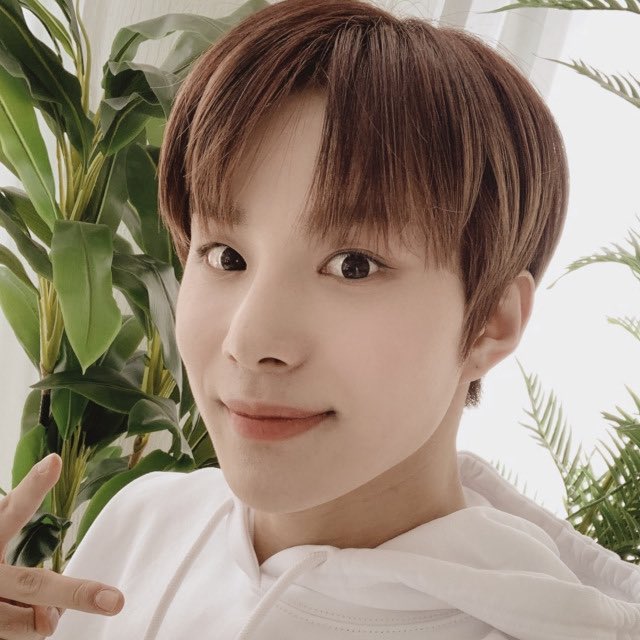 Jungwoo: House TyrellWhile unsuspecting and naive at a glance, Jungwoo is an opponent to keep you eyes on. Jungwoo would fit right in at Highgarden among the flowers and one of the greatest fielded armies in Westeros