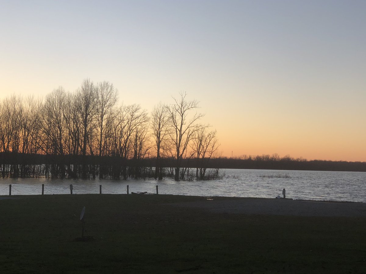 Shadyview Inn tweet media