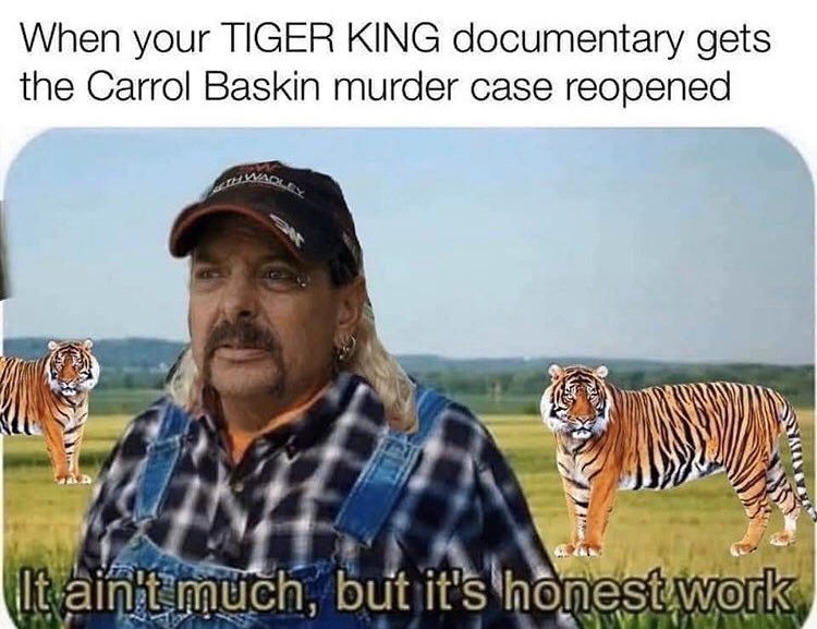 everyone pls watch this