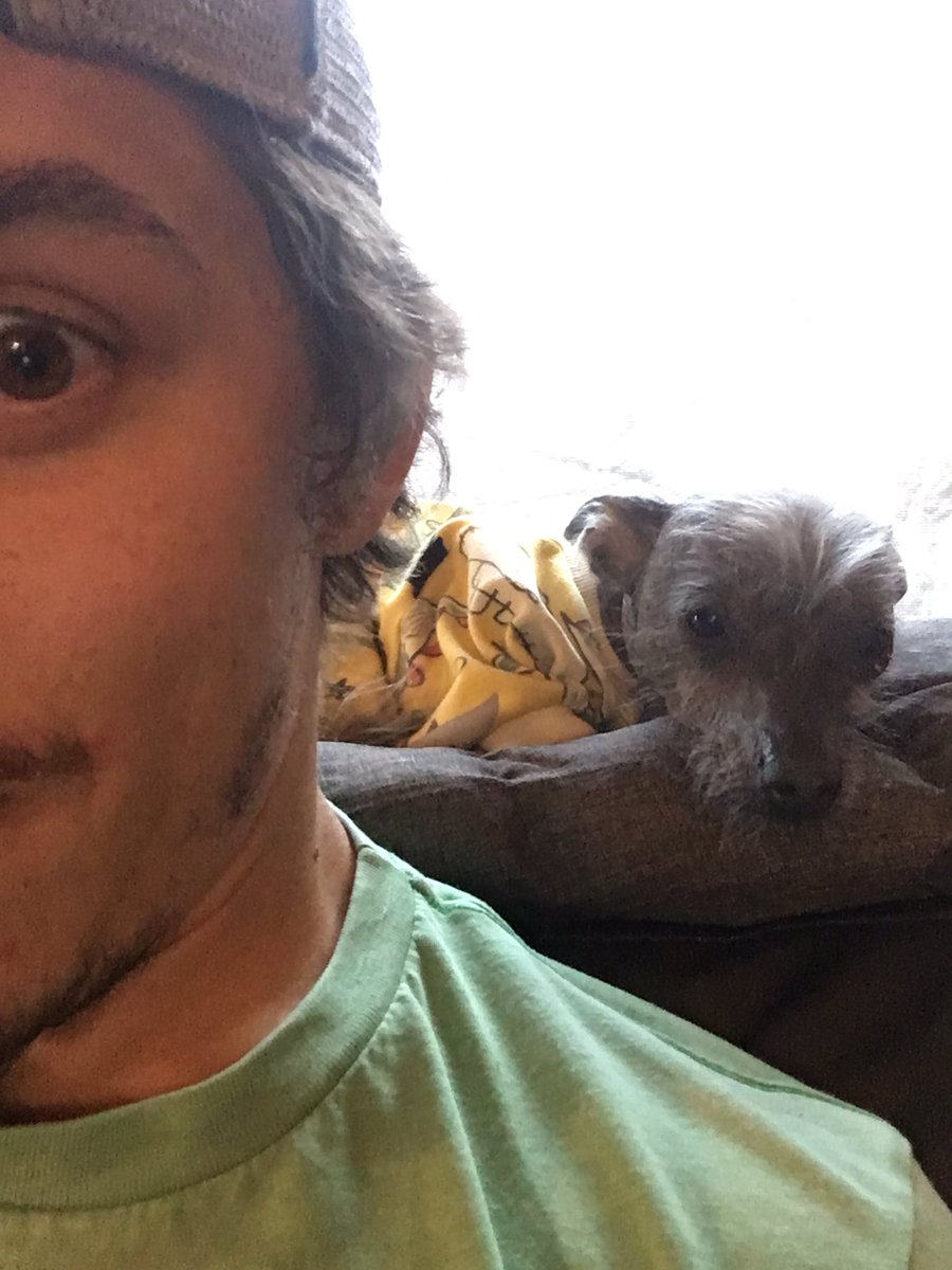 WhyIHatemyGFdog's tweet photo. So your telling me I gotta be quarantined with this thing for a whole month!? https://t.co/nAg8wSj2QJ