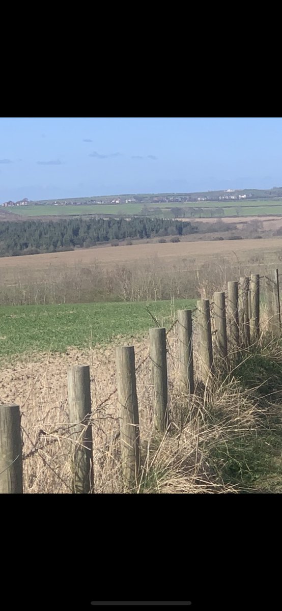 CelloHelen's tweet photo. Few more pics from mine and Lily’s daily runs. We’ve put a good few miles around here in the last week.  Glad I have a dog who loves to run as much as I do.  She does of course stop for the occasional sniff etc 😂.  Staying positive &amp; wishing you all good health. Xx https://t.co/ZqXtbkZXbN
