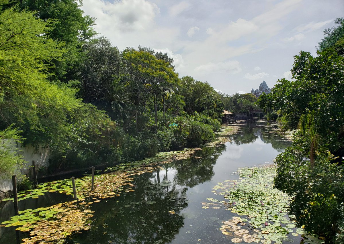 ColorMeBlueMoon's tweet photo. I am challenging everyone to post a photo you've taken from a place you've been. The only thing is that you NOT appear in it. Just a pic, no description. Let's flood profiles with landscapes to ease this isolation. https://t.co/QD52mCKuEr