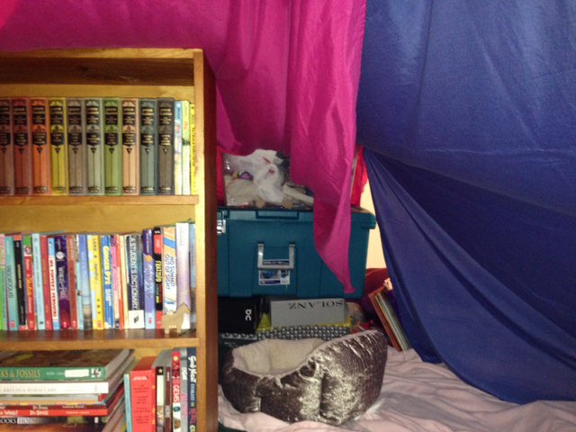 gjlyman's tweet image. Ran upstairs to take these. #Valinchat