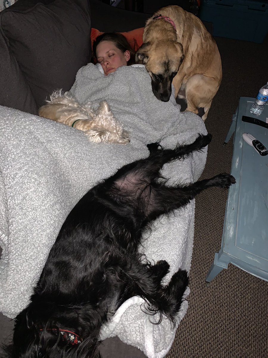 Think am also sharing this cuz am worried too. Mostly about Mrs. K, as she naps to go in to work tonight. At least the pups have her back! Good thing she’s not on the Tweeter. Or I’d be fired for posting this picture. But oh well, we all need puppy pics in the time of  #COVID19