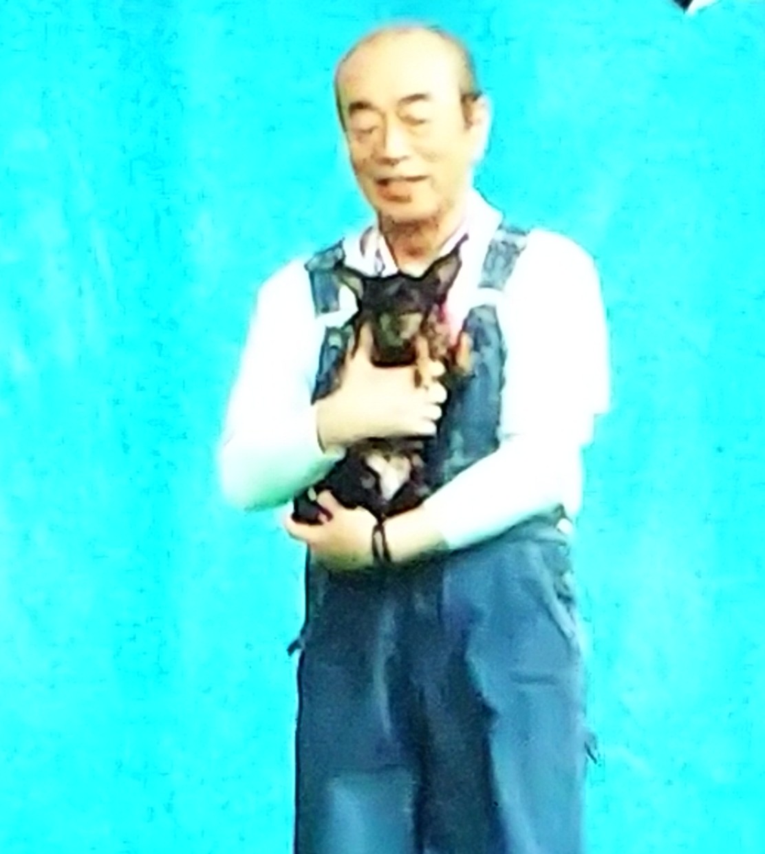 تويتر Beethoven على تويتر まもなく志村どうぶつ園の再放送 ですが １回目の出演で大輔さんの愛犬 もーこちゃん が地上波デビューした時 登場する時に抱っこしてくださったのが志村けんさんでした もーこちゃん凄い方に抱っこされてたんだよ 良かったね