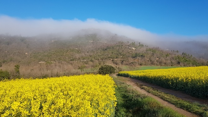 3CatInfo's tweet photo. Divendres, retrobament amb el sol i els 20 ºC ▶ https://t.co/0pERhtzicR La previsió d'@eltempsTV3 📷 Pere Riu #324eltemps https://t.co/49yjkdz6Fm