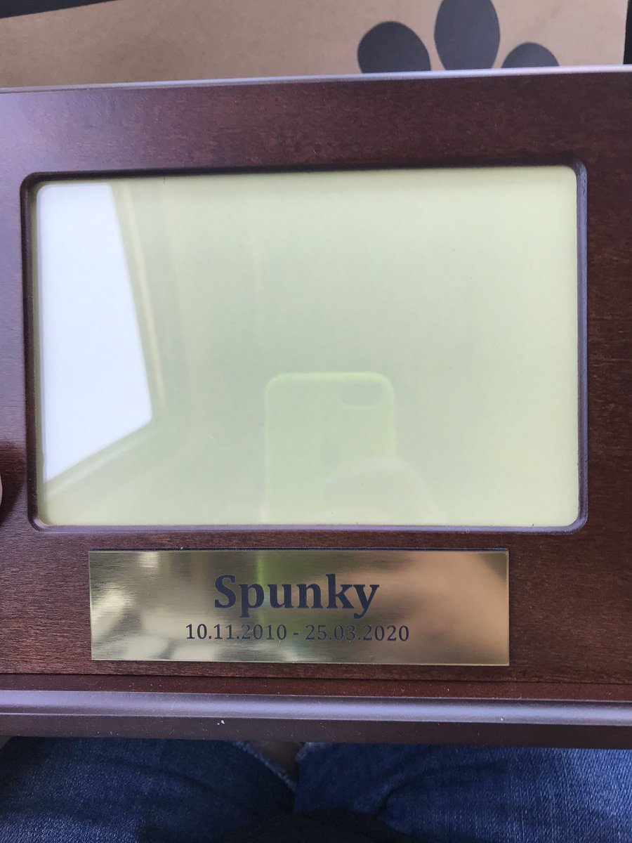 amybr992's tweet photo. I pick up my boy today. I now know he is at peace with my mum and his mum and his dad. R.I.P Spunky. You will be miss and loved. https://t.co/iirq2CgNbD