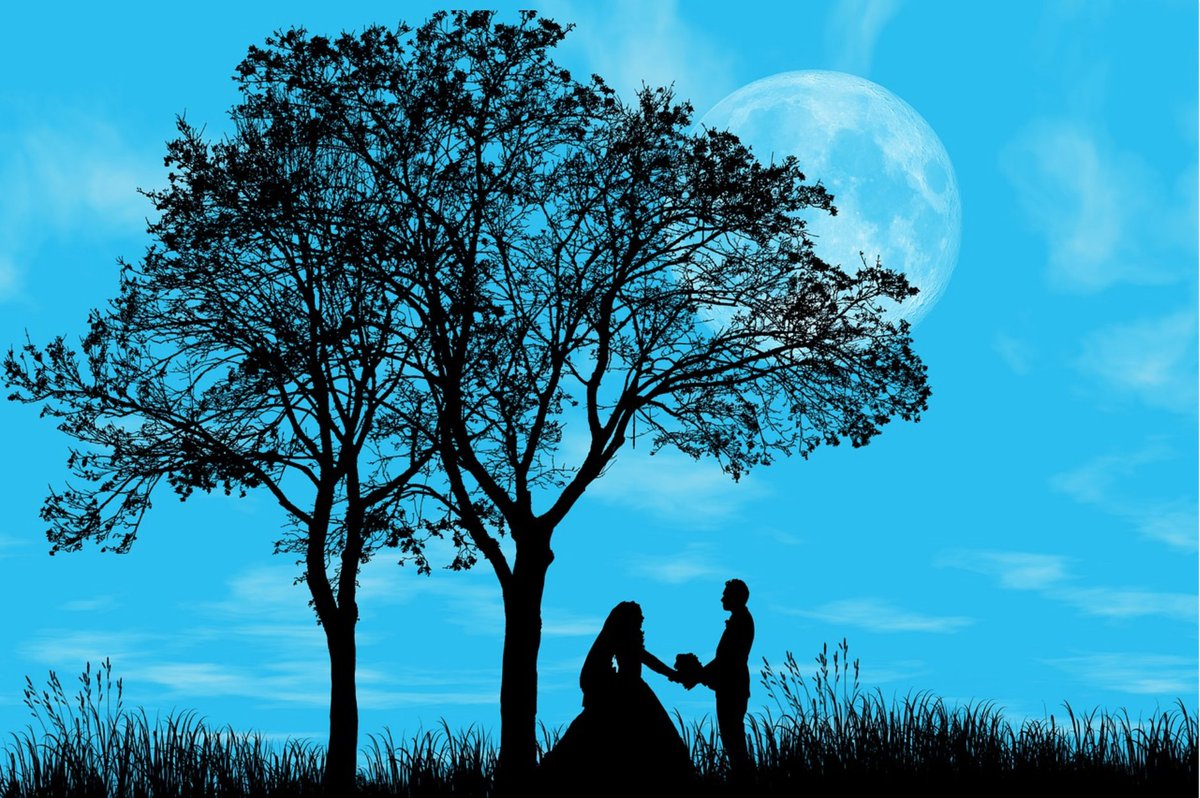 MubiruHumble's tweet image. 5/5 #MyTreeStory🌍🕊️🌱🌿🌳Conclusively, Trees Spice-up😍😍Love relationships &amp;amp; Affection for lovers &amp;amp; those seeking love🥰🥰. Some Trees release into the atmosphere a love stimulant essential for general wellness💚💚an enabler for natural connections &amp;amp; human interactions😘😘🕺💃