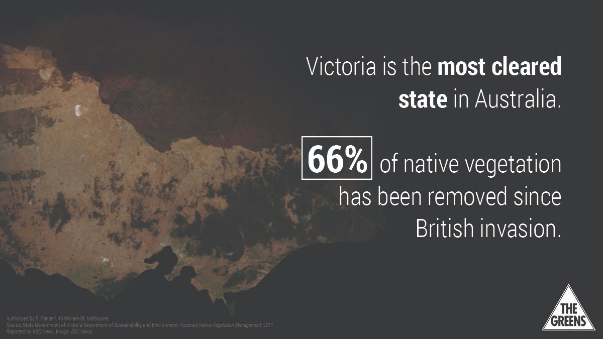State and Federal governments have just locked in another 10 years of logging in Victoria's native forests.😢
Join the campaign to end native forest logging in Victoria: greens.org.au/vic/logging #logging #extinction #auspol