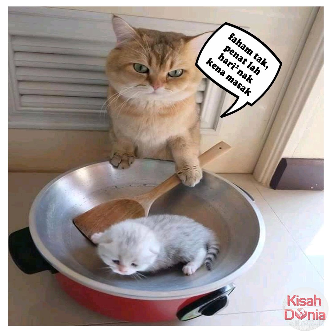 kisahdunia_com's tweet photo. Dah takda idea dah nak masak apa ni 😤

#kurantin #coronavirus #covid19 #malaysiabebascovid19 #hapuscovid19 #kitajagakita #perintahkawalanpergerakan #dudukrumah #haih #nakmasakapaharini #takdaidea #asikmakanje 
#kisahdunia
#tirahyj https://t.co/uDXO0IFxWR
