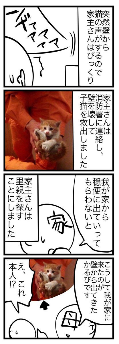 屋根裏から落ちた猫と現在 