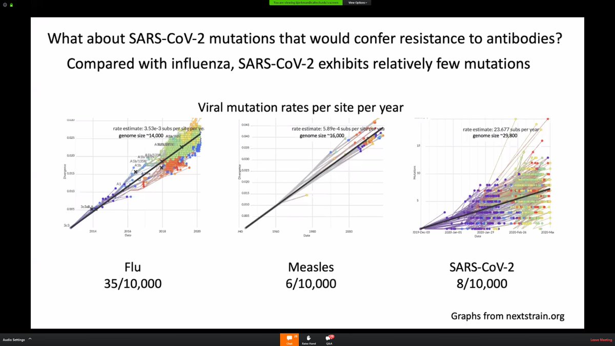 lesterbuck's tweet photo. @alliblk @davidasinclair Yes. Caltech only minutes ago concluded a webinar with Prof. Pamela Bjorkman and she showed a slide with the correct numbers, subtitled "Compared to influenza, SARS-CoV-2 exhibits relatively few mutations" https://t.co/3wkG0Dnsd6