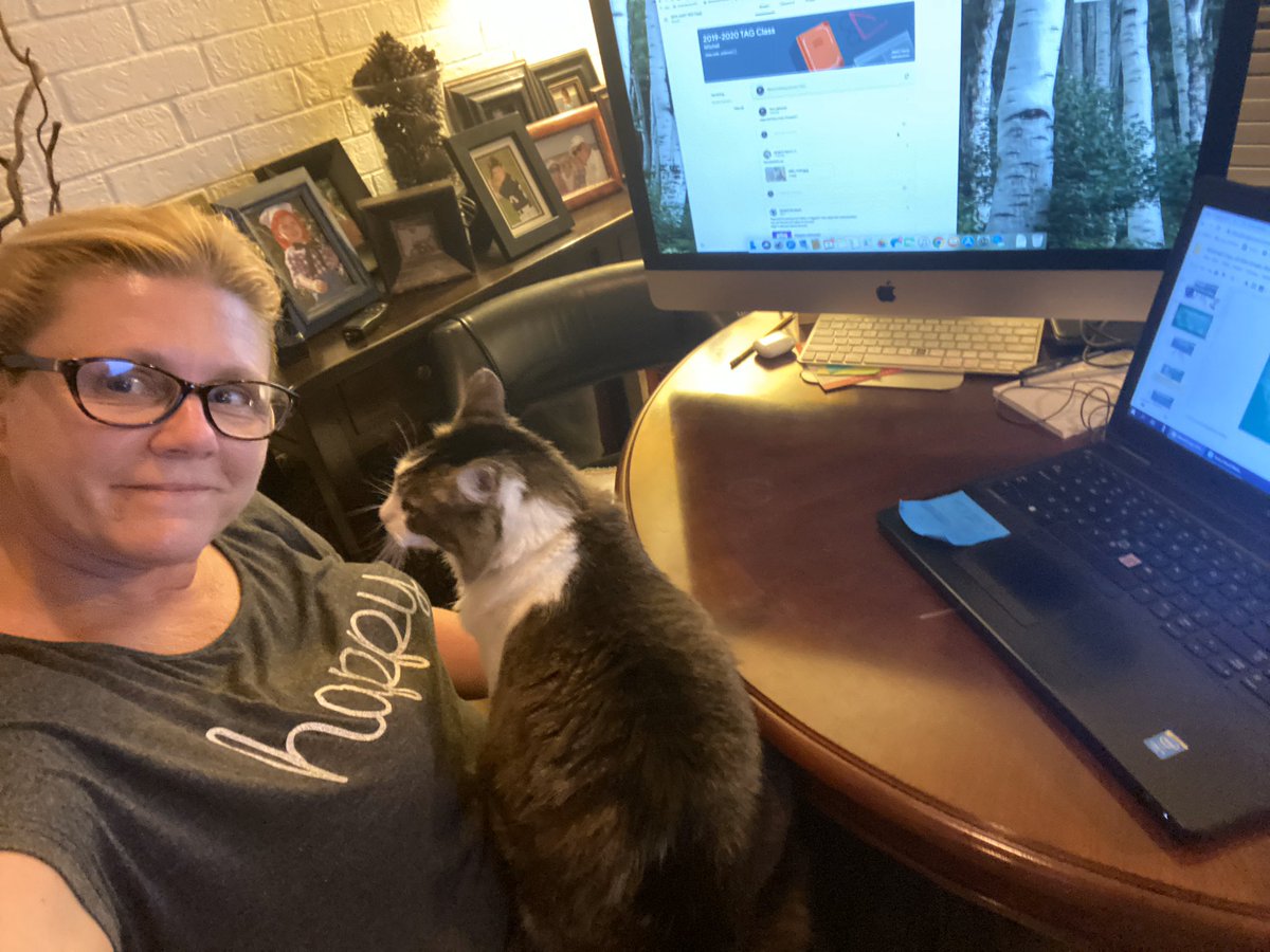 Amy Mitchell💍👩🏼‍🏫👩🏼‍🌾🤱🏼🐱🐶☃️ tweet media