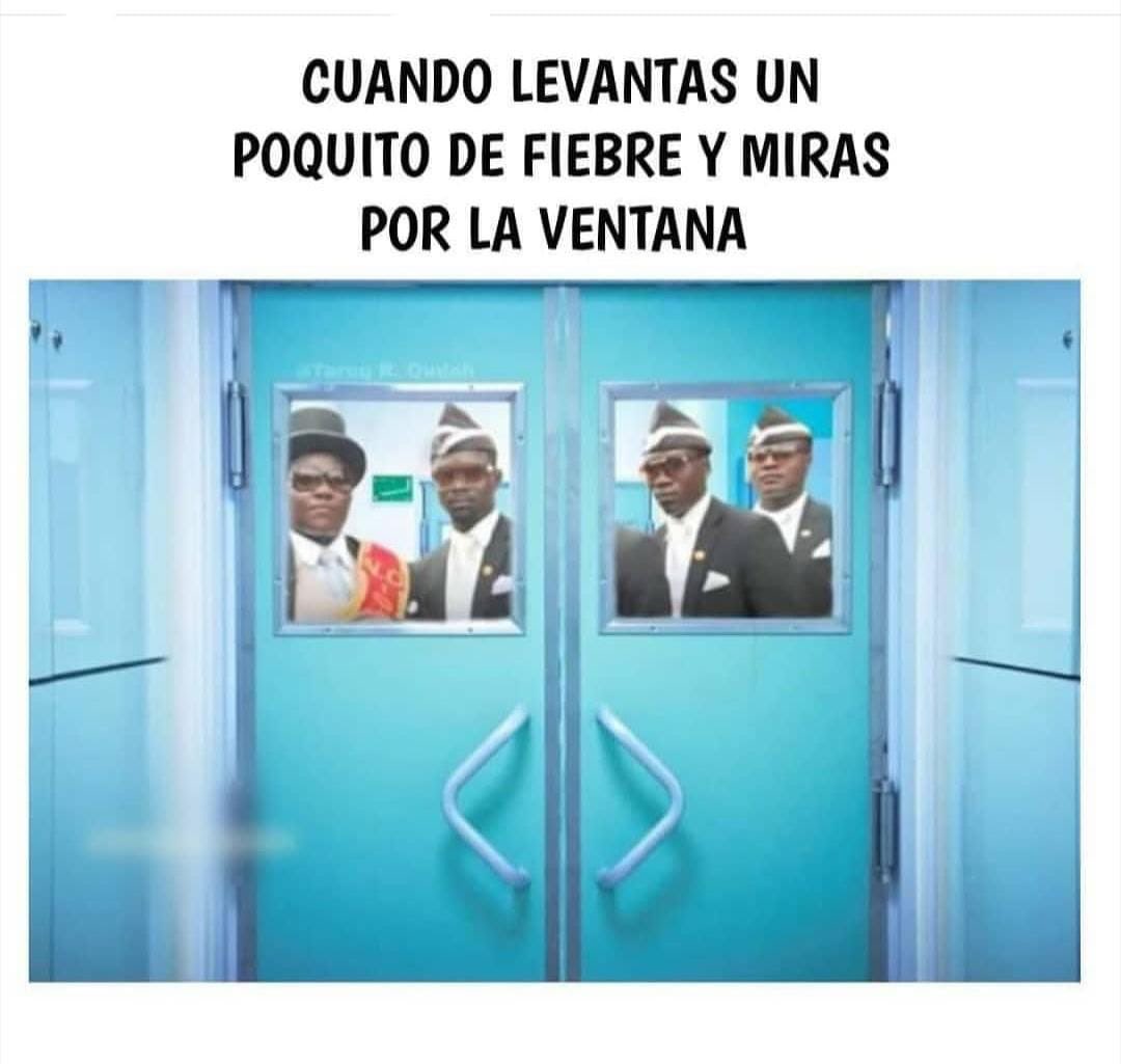 divibel's tweet image. 