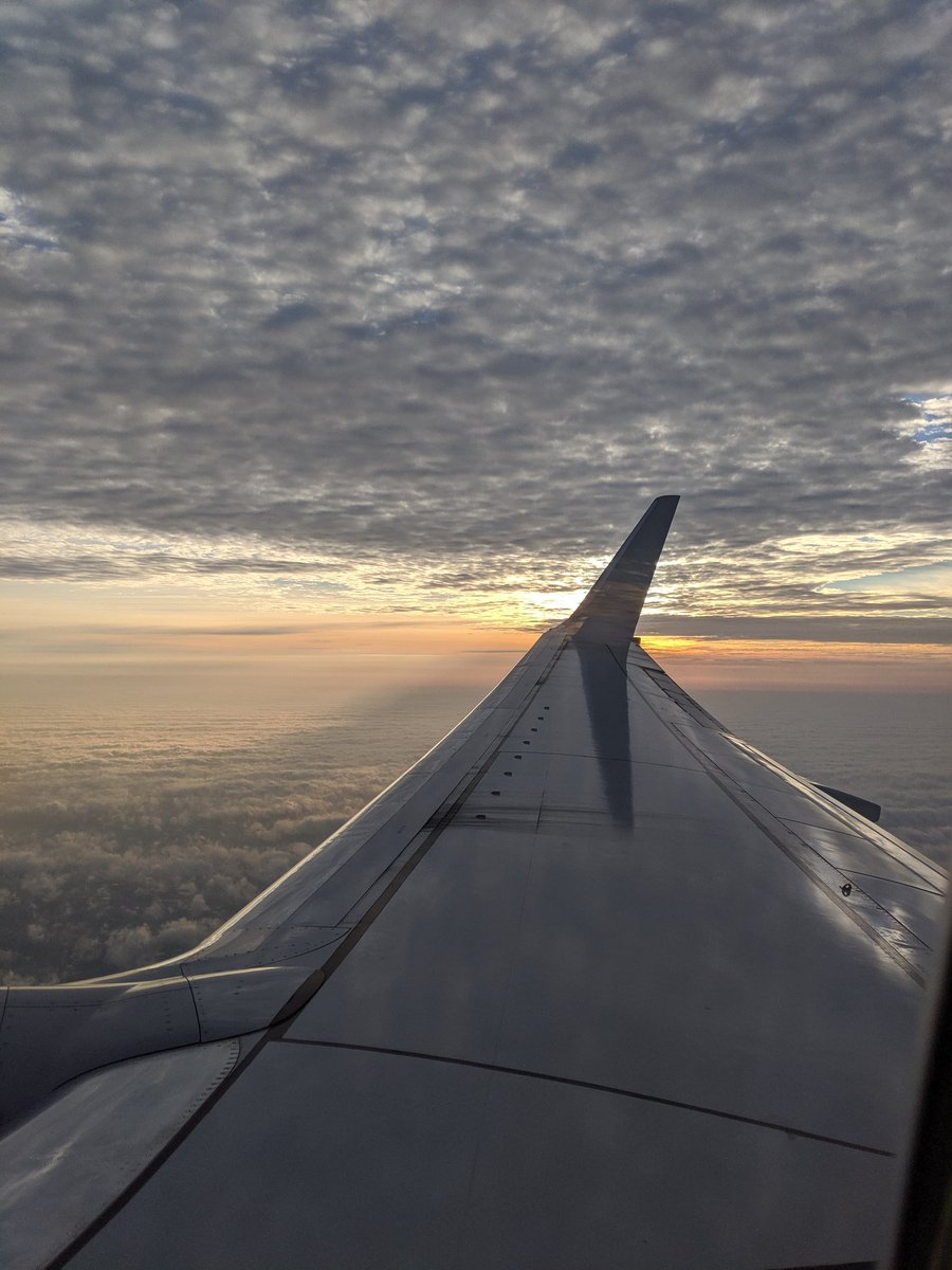 David Henderson tweet media