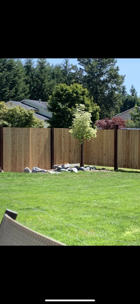 Jesusy_'s tweet photo. Hella pumped for my trees to be thriving again. Looking all majestic and stuff https://t.co/gnSwCCexYP