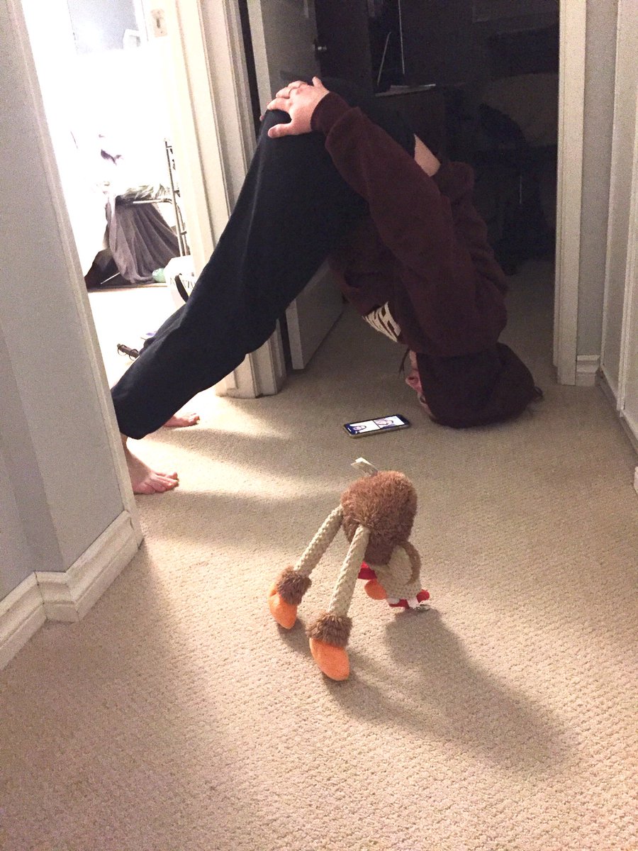 tinavdl31's tweet photo. Forget downward dog. Downward chicken is where it’s at. #yogamove #dogtoy https://t.co/qWwzwsV2Rq