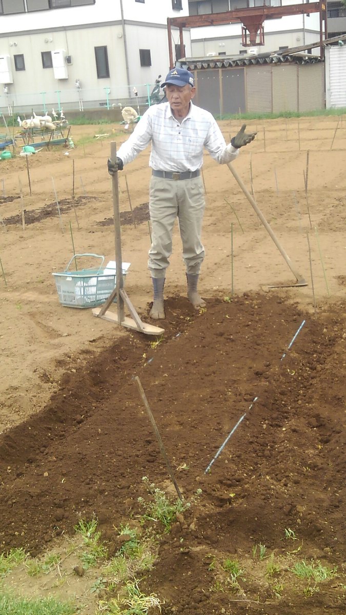 モーニングワイド على تويتر 畑の時間 土づくり 畝づくり講習